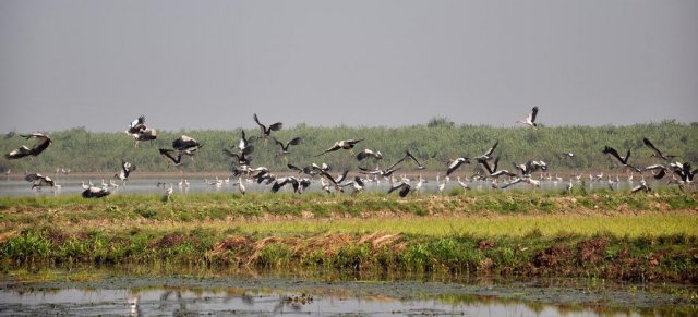 হাকালুকি হাওর