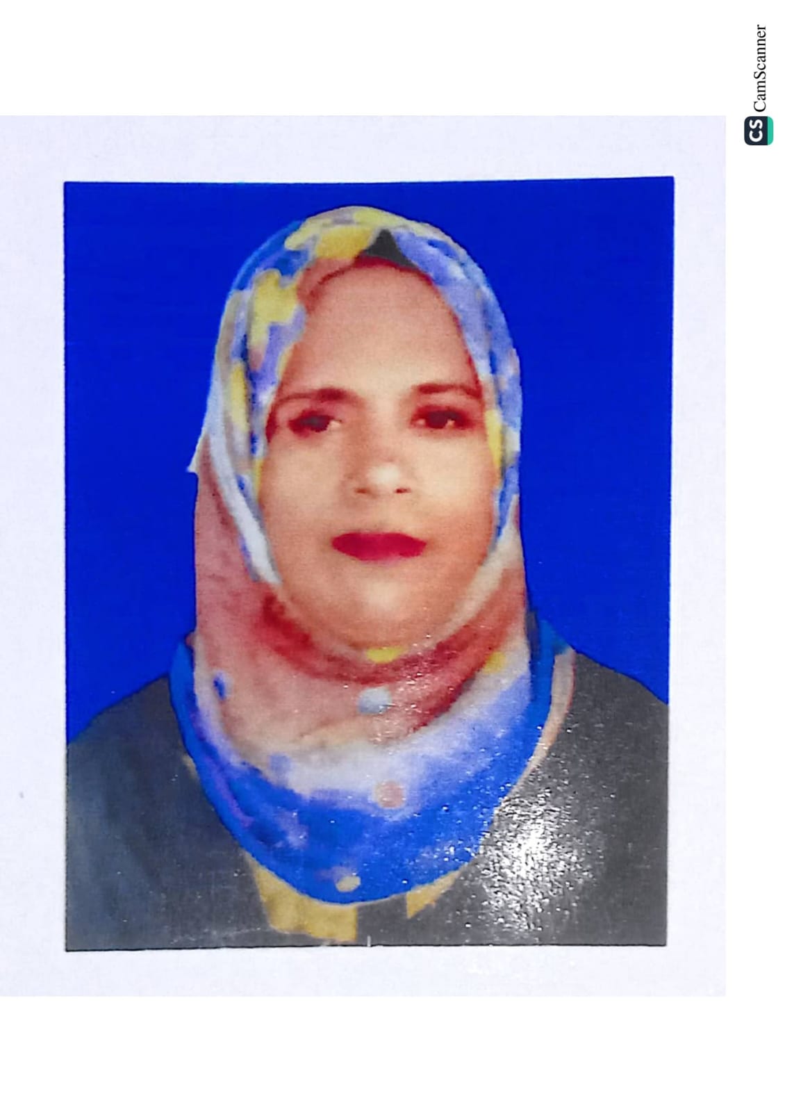 minister