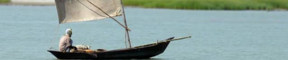 পদ্ধা নদী