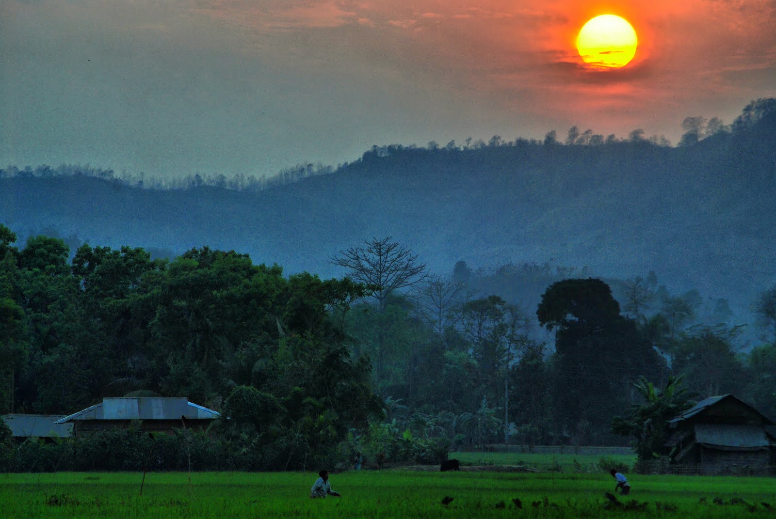 প্রাকৃতি