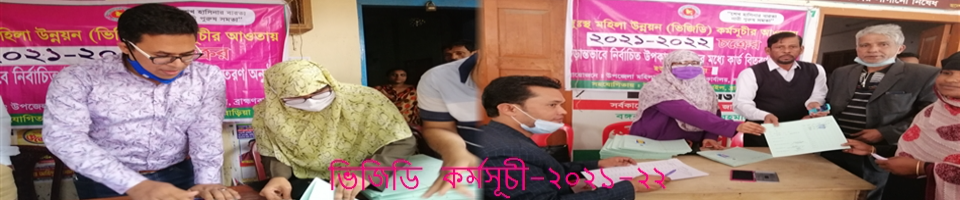 ভিজিডি কর্মসূচি