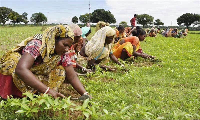 মহিলা বিষয়ক 