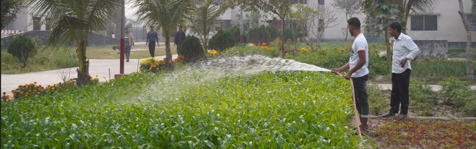 কৃষি প্রশিক্ষণ