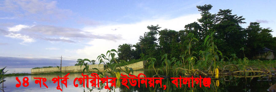 পূর্ব গৌরীপুর ইউনিয়নের হাওর