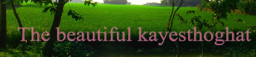 পূর্ব গৌরীপুর ইউনিয়ন