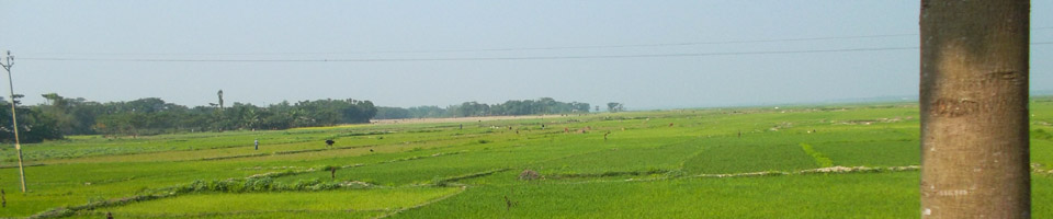 ১৪ নং পূর্ব গৌরীপুর