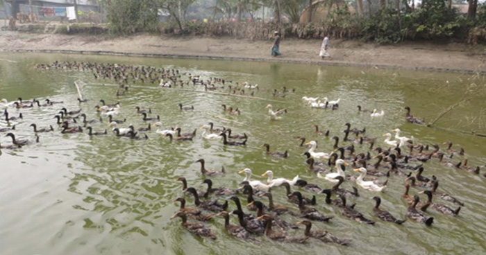 উপকারভোগীদের কর্মকান্ড