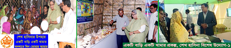 Head Office of EBEK Pic2