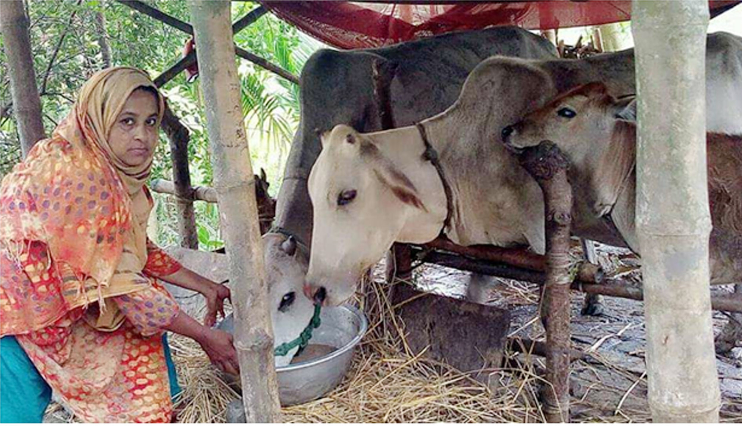 উপকারভোগী