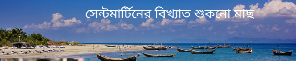 সেন্টমাটিন