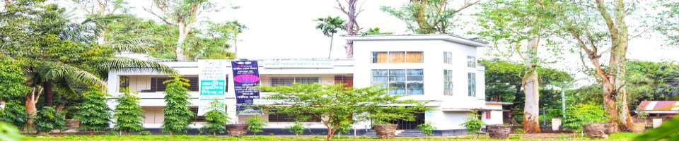 উপজেলা নির্বাচন অফিস