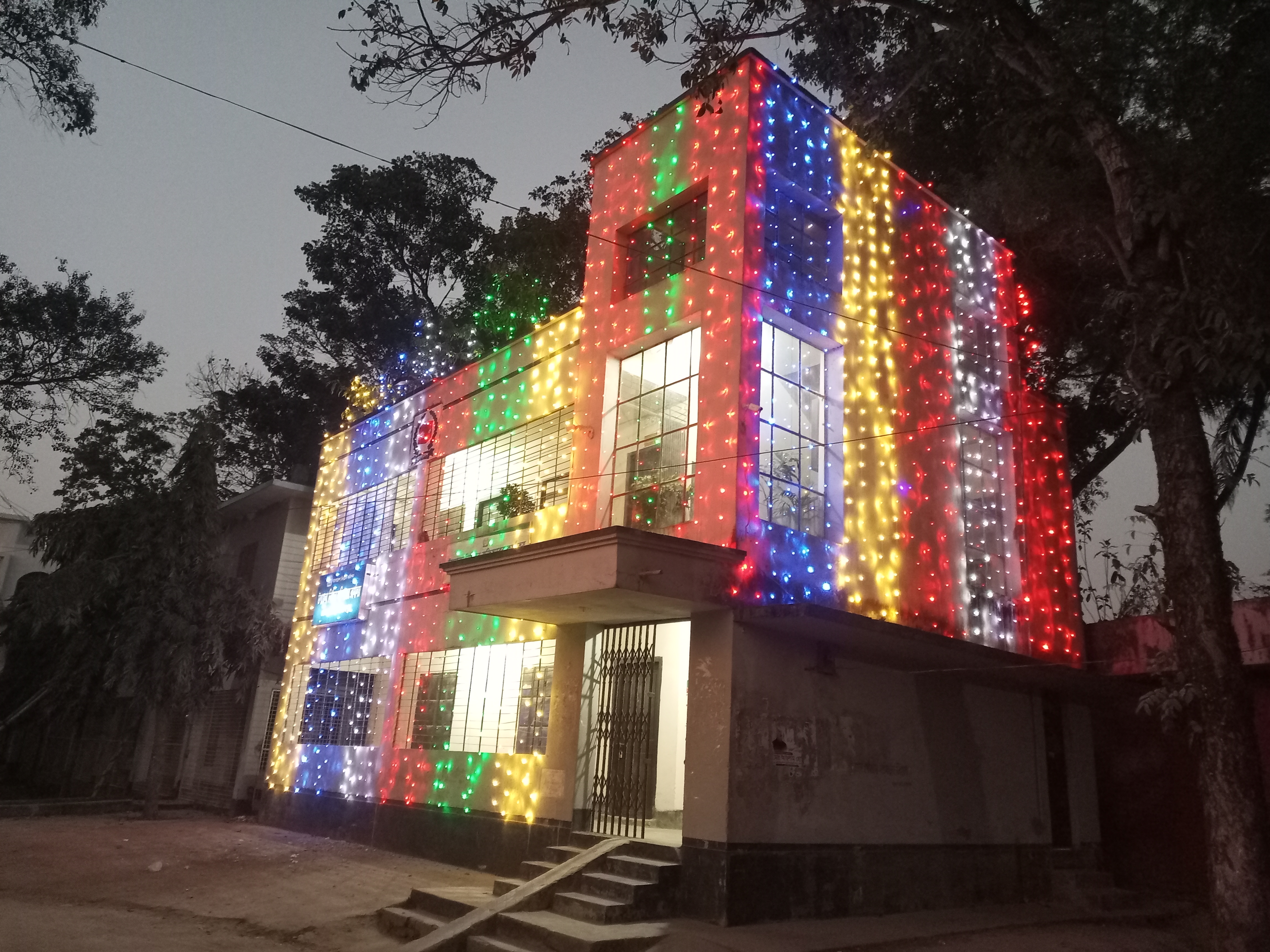 ভোটার দিবস