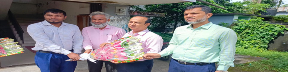 কলাপাড়া