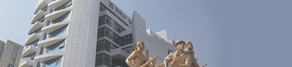 নির্বাচন ভবন, আগাঁরগাও