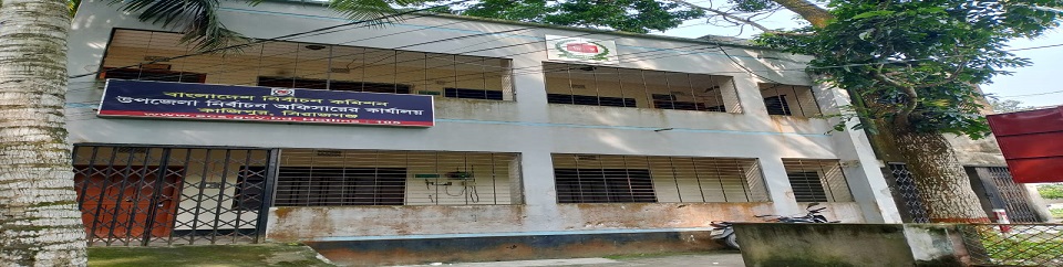 উপজেলা নির্বাচন অফিস