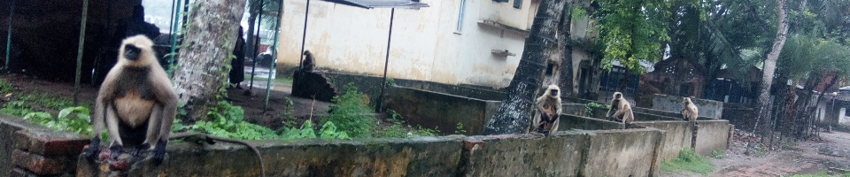 কেশবপুরের ঐতিহ্য