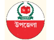 উপজেলা নির্বাচন অফিস/স্থানীয় সরকার প্রতিষ্ঠান ও জনপ্রতিনিধি