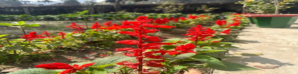 ব্যানার