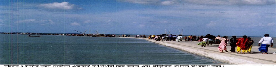 ব্যানার