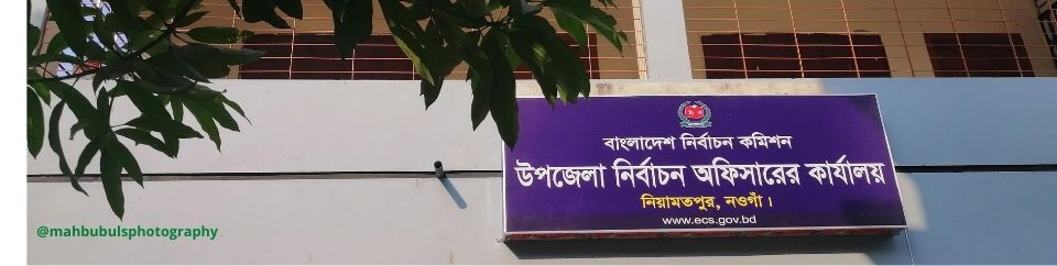 নির্বাচন অফিস