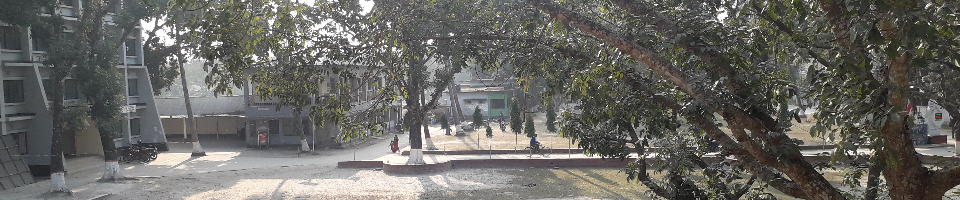 উপজেলা পরিষদ চত্ত্বর