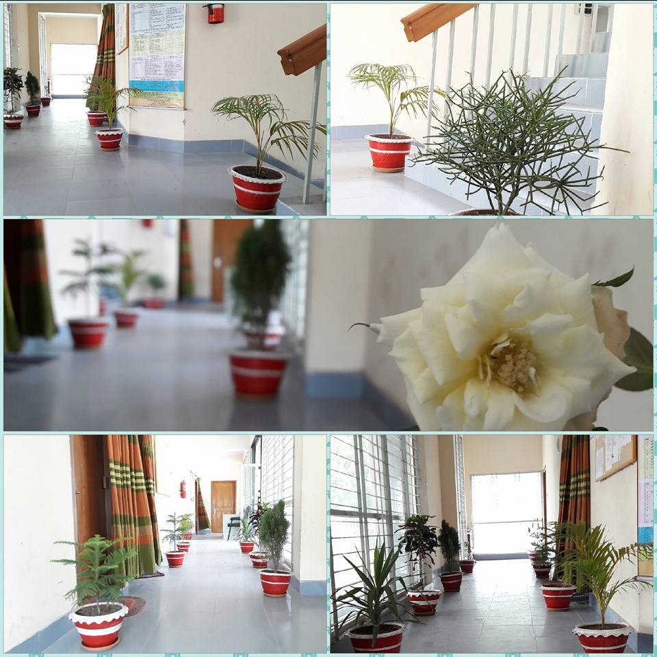 ফটোগ্যালারি