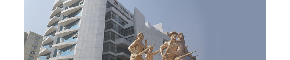 নির্বাচন ভবন