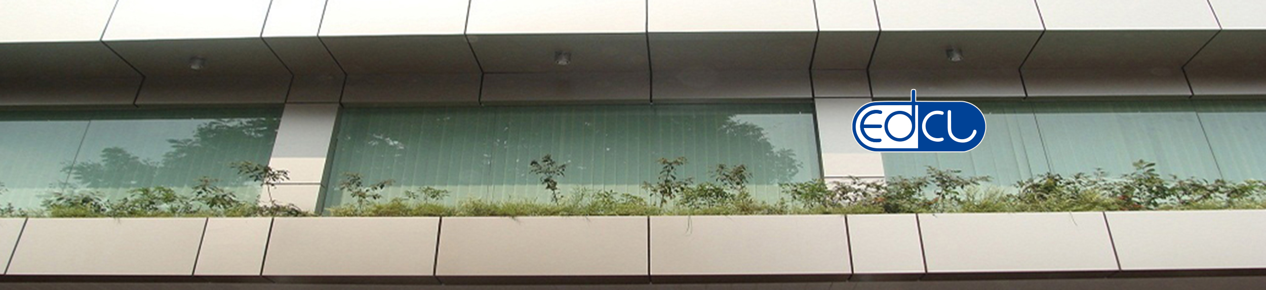 হেড-অফিস১