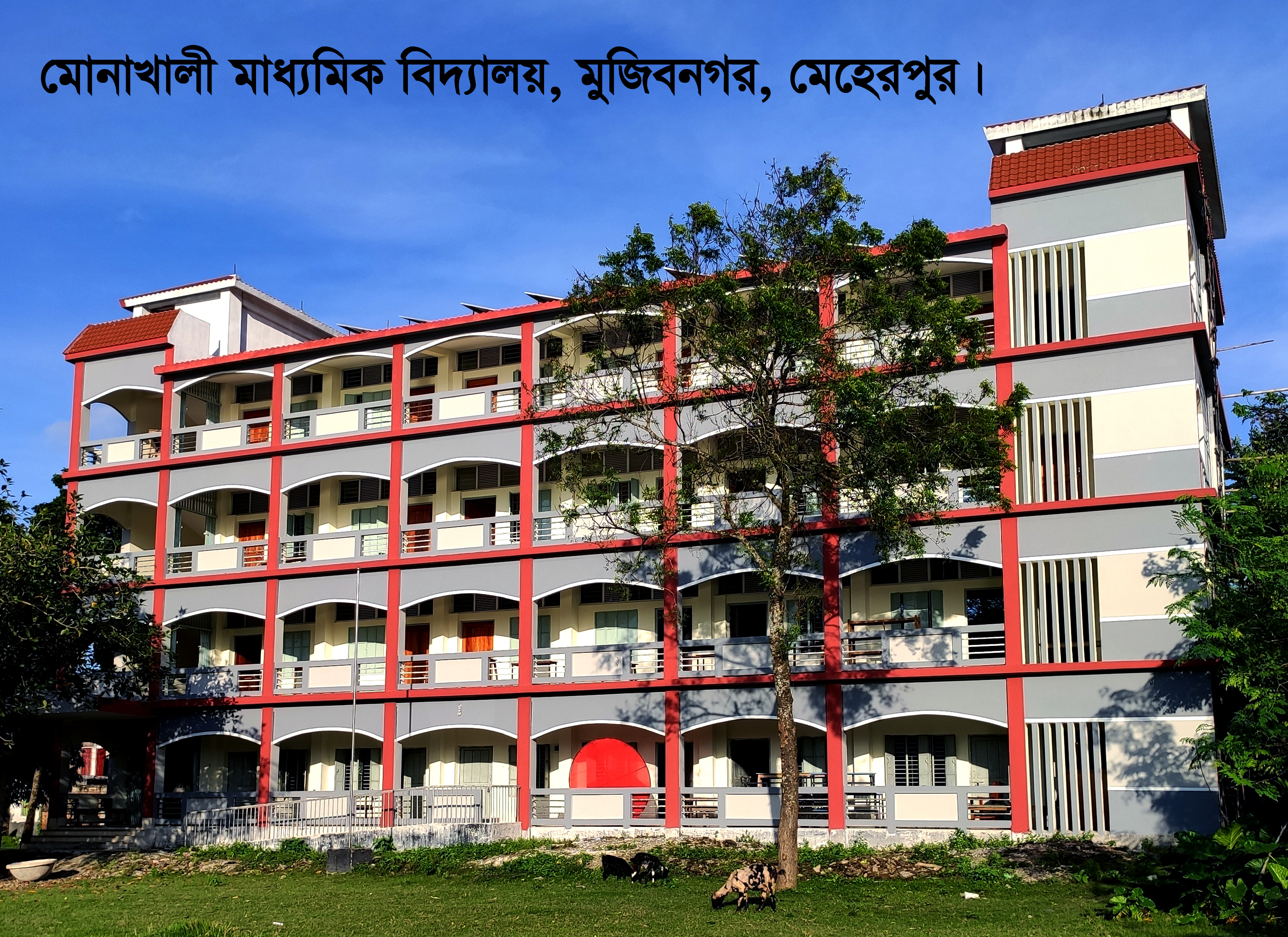 মোনাখালী মাধ্যমিক বিদ্যালয়।