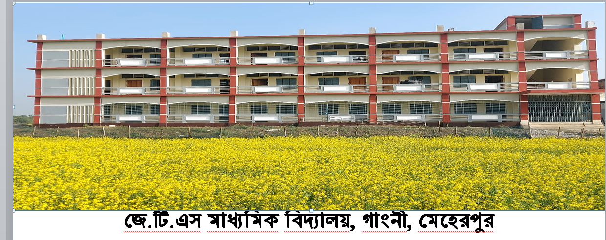 জে.টি.এস মাধ্যমিক বিদ্যালয়
