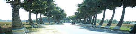 ব্যাণার