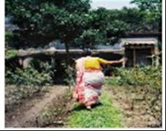 সমাজসেবা