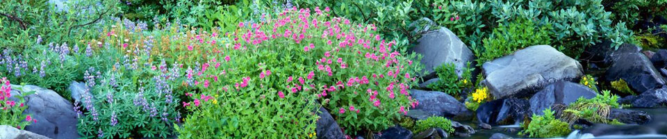 এলাসিন ইউনিয়ন পরিষদ কমপ্লেক্স ভবন