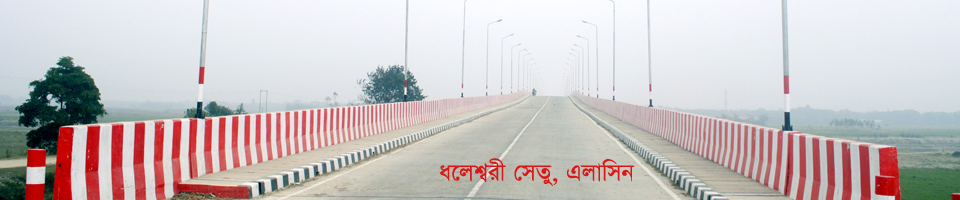 ধলেশ্বরী সেতু (এলাসিন)