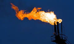 উৎপাদন প্রতিবেদন