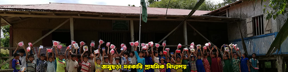 জামুছড়া সরকারি প্রাথমিক বিদ্যালয়