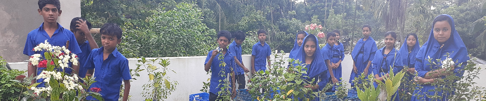 মানসম্মত শিক্ষা