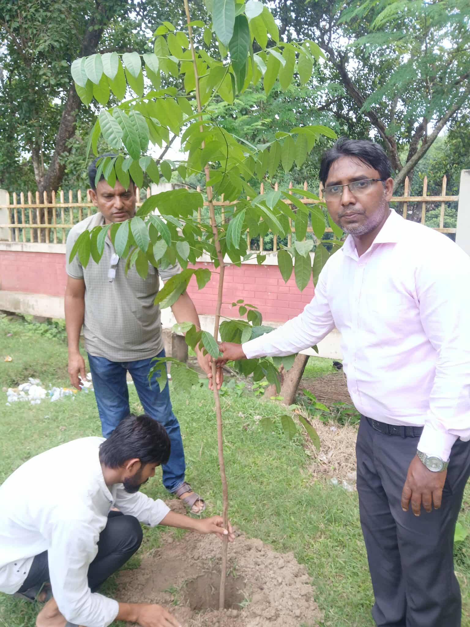 তারুন্যের উৎসব ২০২৫ উপলক্ষ্যে বৃক্ষরোপন অভিযান