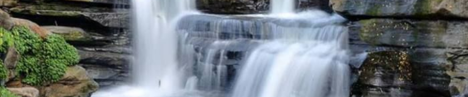 ব্যানার