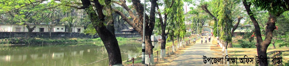 উপজেলা শিক্ষা অফিস উখিয়া রাস্তা