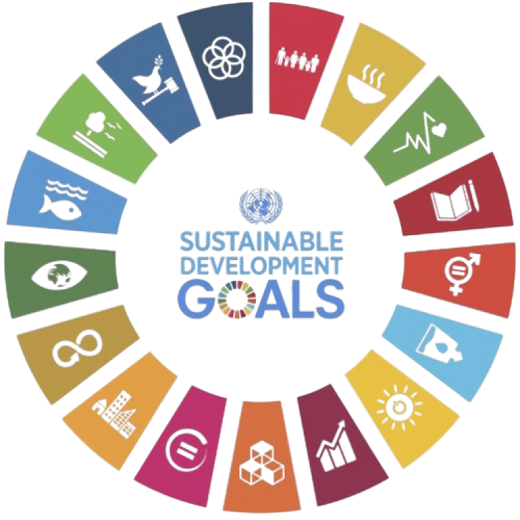 এসডিজি ও উন্নয়ন কর্মপরিকল্পনা