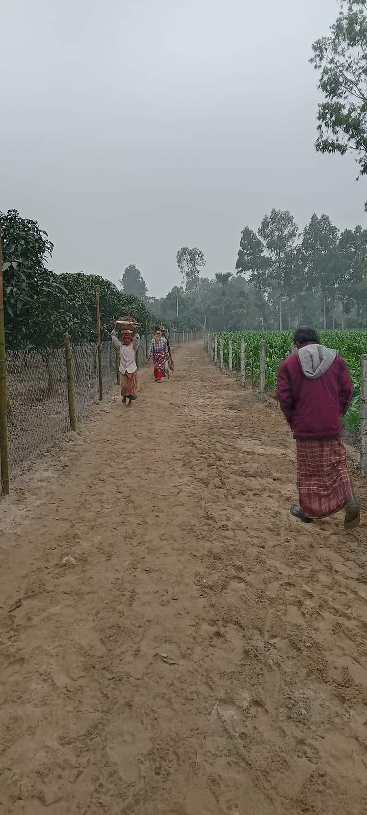 দকচাই রাস্তা সংস্কার।