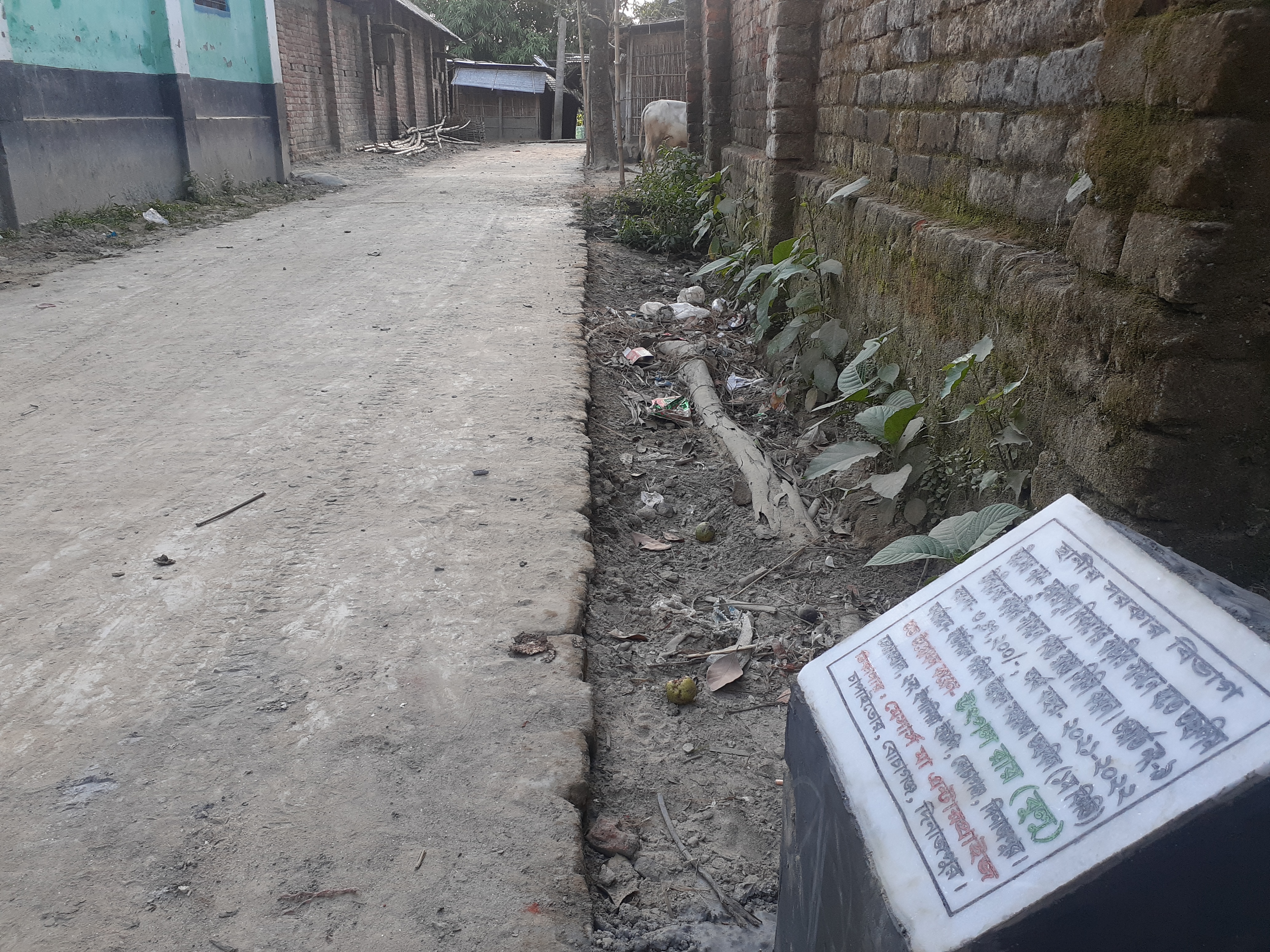 ফটো গ্যালারী