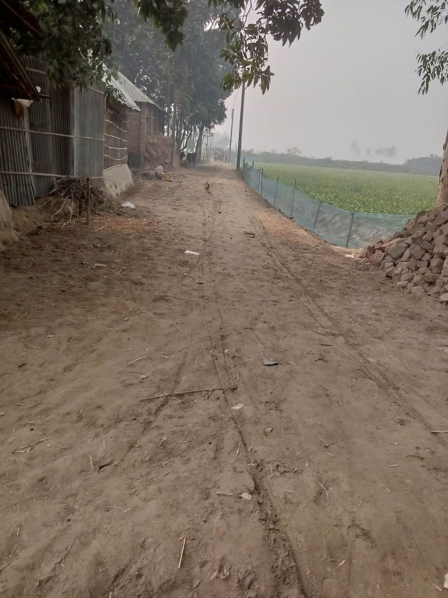 বামনগাঁও রাস্তা সংস্কার।