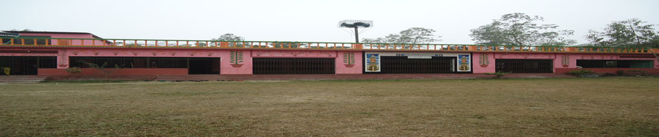 Passterilla Kandio Moszid