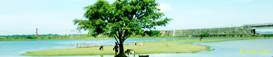 বর্ষাকাল