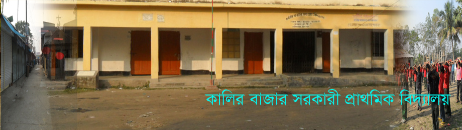 কালির সরকারী প্রাথমিক বিদ্যালয়