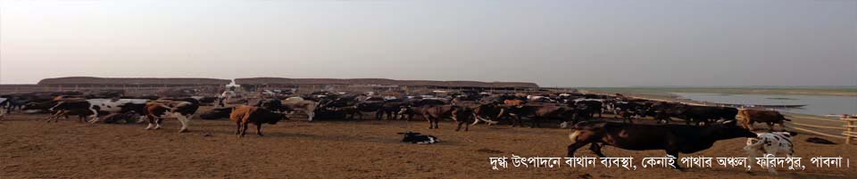 স্বাধীনতা ফোয়ারা, উপজেলা পরিষদ, ফরিদপুর, পাবনা।