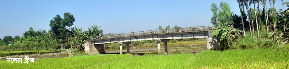 নলেয়া ব্রীজ