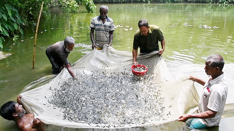 ব্যানার_৩